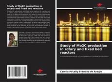 Capa do livro de Study of Mo2C production in rotary and fixed bed reactors 