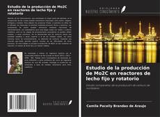 Capa do livro de Estudio de la producción de Mo2C en reactores de lecho fijo y rotatorio 