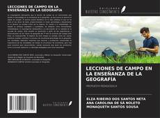 LECCIONES DE CAMPO EN LA ENSEÑANZA DE LA GEOGRAFÍA kitap kapağı