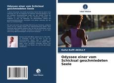 Capa do livro de Odyssee einer vom Schicksal geschmiedeten Seele 