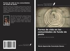 Bookcover of Forma de vida en las comunidades de fundo de pasto