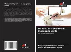 Borítókép a  Manuali di ispezione in ingegneria civile - hoz