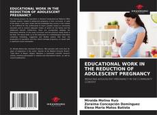 Portada del libro de EDUCATIONAL WORK IN THE REDUCTION OF ADOLESCENT PREGNANCY