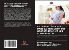 LE TRAVAIL ÉDUCATIF DANS LA RÉDUCTION DES GROSSESSES CHEZ LES ADOLESCENTES kitap kapağı