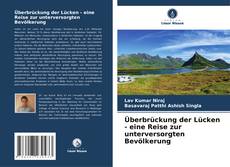 Überbrückung der Lücken - eine Reise zur unterversorgten Bevölkerung的封面