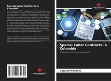 Couverture de Special Labor Contracts in Colombia