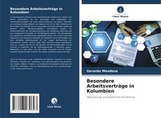 Besondere Arbeitsverträge in Kolumbien的封面