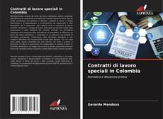 Copertina di Contratti di lavoro speciali in Colombia