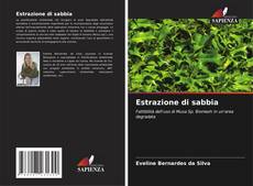 Bookcover of Estrazione di sabbia