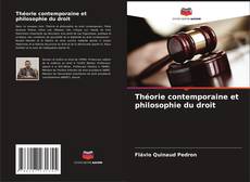 Théorie contemporaine et philosophie du droit kitap kapağı