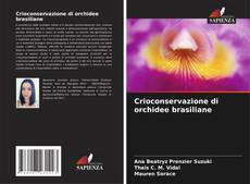 Buchcover von Crioconservazione di orchidee brasiliane