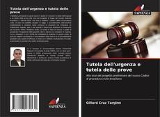Tutela dell'urgenza e tutela delle prove的封面