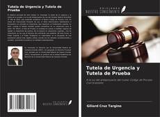 Tutela de Urgencia y Tutela de Prueba kitap kapağı