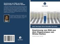 Portada del libro de Gewinnung von RNA aus dem Hippocampus von Wistar-Ratten
