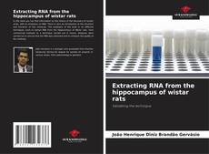 Extracting RNA from the hippocampus of wistar rats kitap kapağı