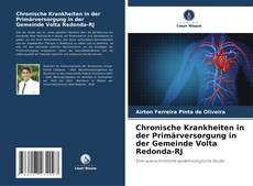 Copertina di Chronische Krankheiten in der Primärversorgung in der Gemeinde Volta Redonda-RJ