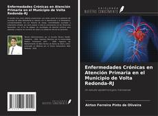 Bookcover of Enfermedades Crónicas en Atención Primaria en el Municipio de Volta Redonda-RJ