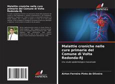 Buchcover von Malattie croniche nelle cure primarie del Comune di Volta Redonda-RJ