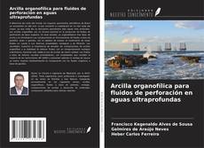 Bookcover of Arcilla organofílica para fluidos de perforación en aguas ultraprofundas
