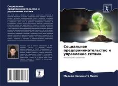 Buchcover von Социальное предпринимательство и управление сетями