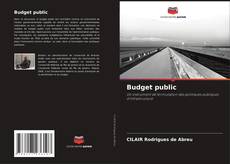 Budget public kitap kapağı