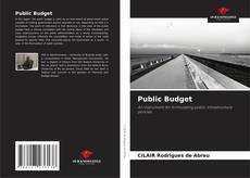 Borítókép a  Public Budget - hoz