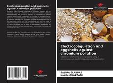 Portada del libro de Electrocoagulation and eggshells against chromium pollution