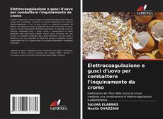 Bookcover of Elettrocoagulazione e gusci d'uovo per combattere l'inquinamento da cromo