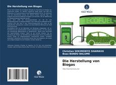 Die Herstellung von Biogas的封面