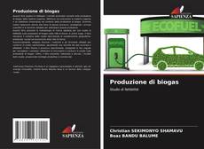 Capa do livro de Produzione di biogas 