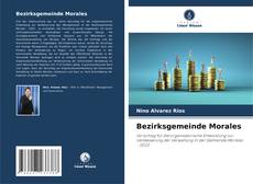 Bezirksgemeinde Morales的封面