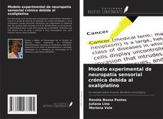 Bookcover of Modelo experimental de neuropatía sensorial crónica debida al oxaliplatino