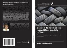 Bookcover of Gestión de neumáticos inservibles: análisis crítico