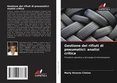 Обложка Gestione dei rifiuti di pneumatici: analisi critica