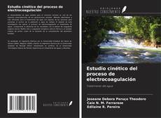 Bookcover of Estudio cinético del proceso de electrocoagulación