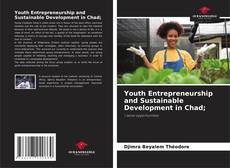 Youth Entrepreneurship and Sustainable Development in Chad; kitap kapağı