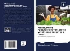 Bookcover of Молодежное предпринимательство и устойчивое развитие в Чаде;