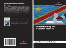 Capa do livro de Understanding the electoral process 