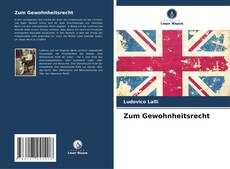 Zum Gewohnheitsrecht的封面