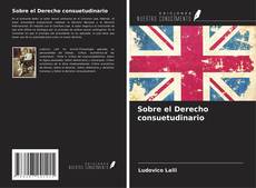 Sobre el Derecho consuetudinario的封面