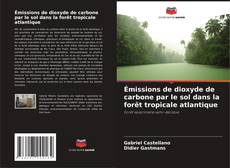 Émissions de dioxyde de carbone par le sol dans la forêt tropicale atlantique kitap kapağı