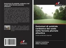 Portada del libro de Emissioni di anidride carbonica dal suolo nella foresta pluviale atlantica