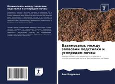 Bookcover of Взаимосвязь между запасами подстилки и углеродом почвы
