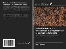 Capa do livro de Relación entre las existencias de hojarasca y el carbono del suelo 