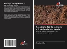 Bookcover of Relazione tra la lettiera e il carbonio del suolo