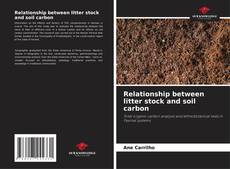 Bookcover of Relationship between litter stock and soil carbon