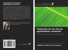 Buchcover von Titulación de las tierras quilombolas restantes