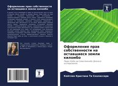 Bookcover of Оформление прав собственности на оставшиеся земли киломбо