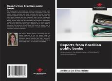Reports from Brazilian public banks kitap kapağı