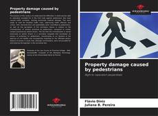 Copertina di Property damage caused by pedestrians